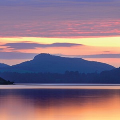 cumbrian_logo
