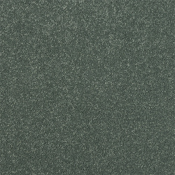 basil_1844429184
