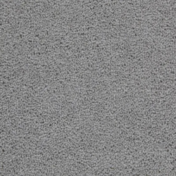 dove-grey_1807943506