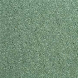 fern_1400221227