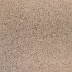 ivory-15-700x700