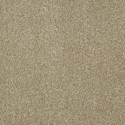 latte_1919696282