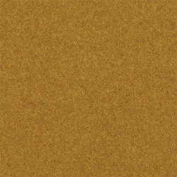 mustard-seed