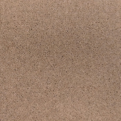 natural-calico-16-700x700