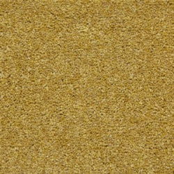old_gold_1546330172