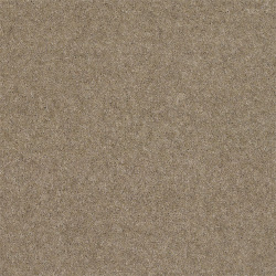 pebble