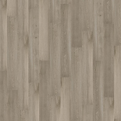 tawny_oak