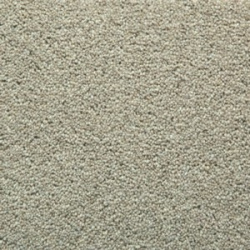 walnut_1973291983