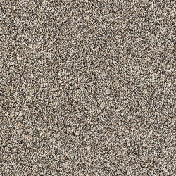 walnut_2095215287